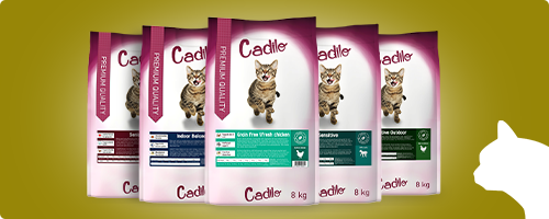 En exclusivité chez Brekz : les aliments premium pour chats Cadilo